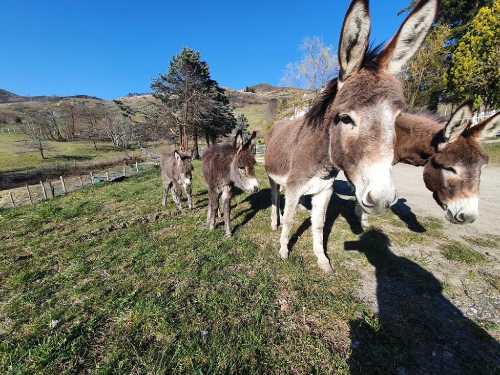 Cuccaro Club - Val Di Vara E Cinque Terre Rocchetta di Vara Eksteriør bilde