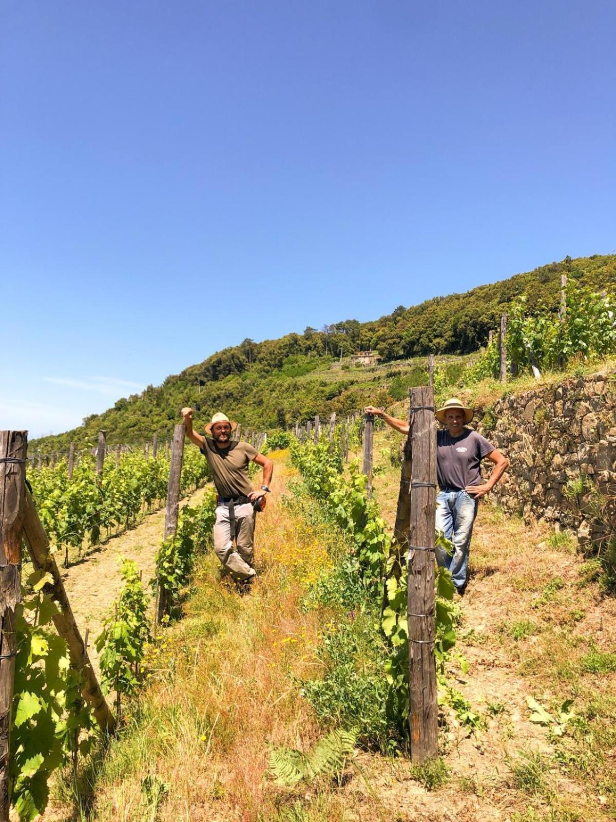 Cuccaro Club - Val Di Vara E Cinque Terre Rocchetta di Vara Eksteriør bilde
